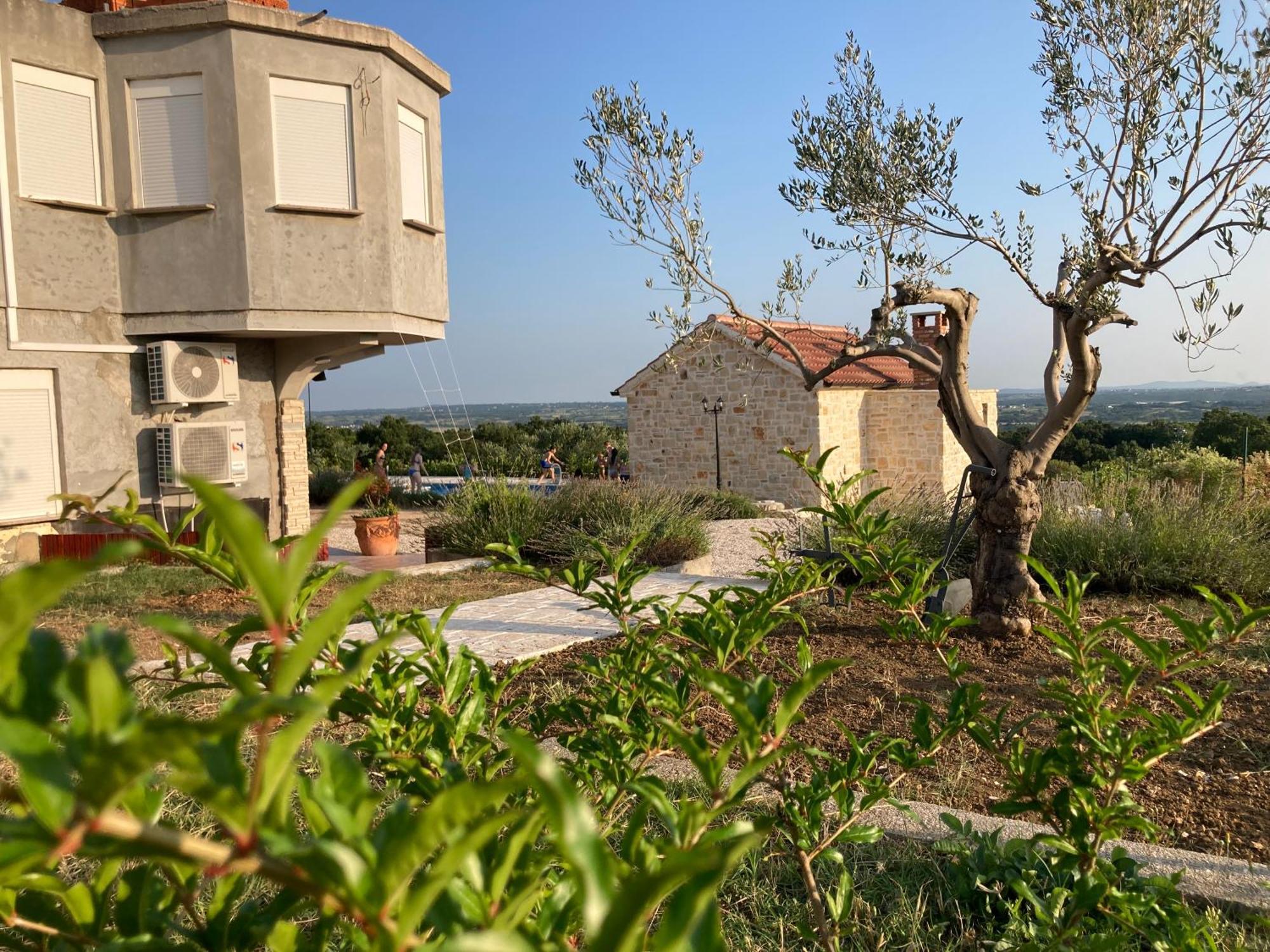 Villa Doci Zadar Eksteriør billede